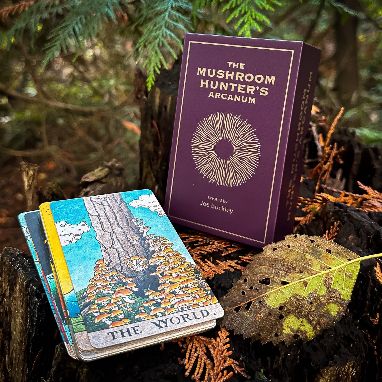 Mushroom Tarot Deck
