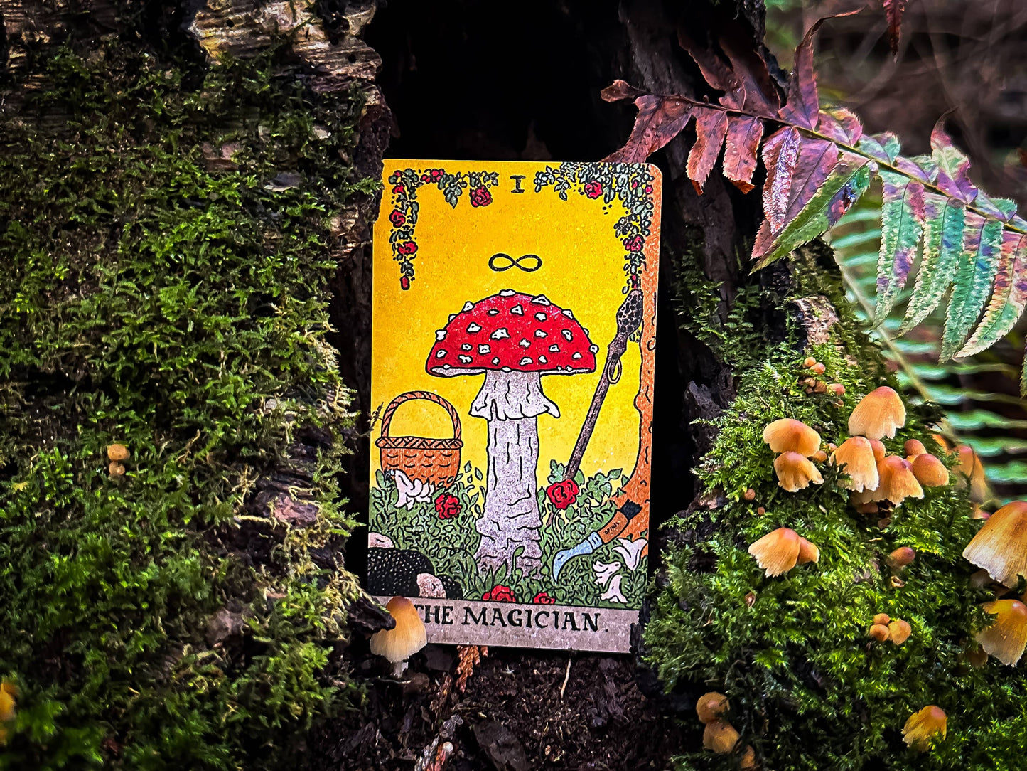 Mushroom Tarot Deck